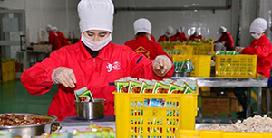 苔干（贡菜）佐料加工采购案例