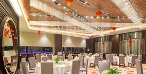 苔干（贡菜）大型饭店采购案例