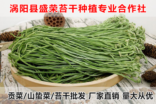 铜陵哪里有批发大量贡菜厂家