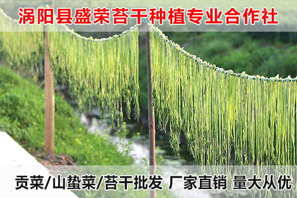 内蒙古哪里有贡菜种植厂家