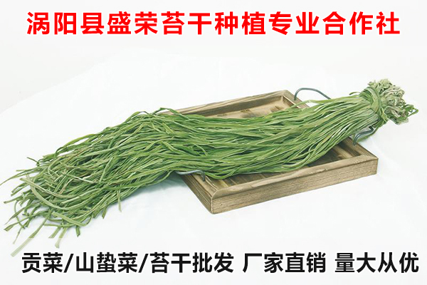 巢湖哪里有批发大量贡菜厂