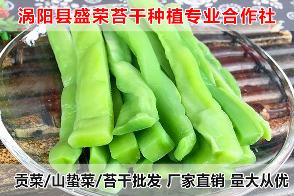 上海哪里有贡菜供应厂