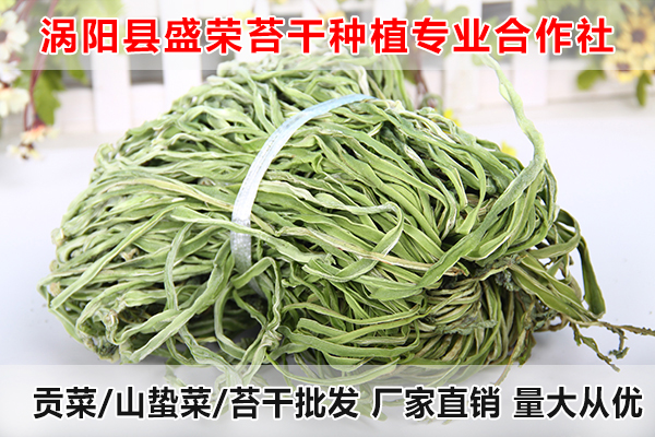 辽宁哪里有批发大量贡菜厂家电话