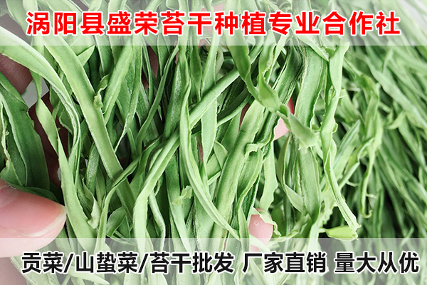 台湾哪里有种植贡菜厂家