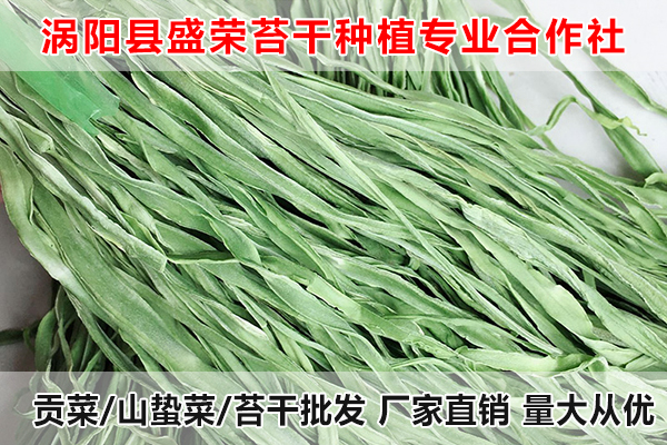 巢湖哪里有批发大量贡菜厂