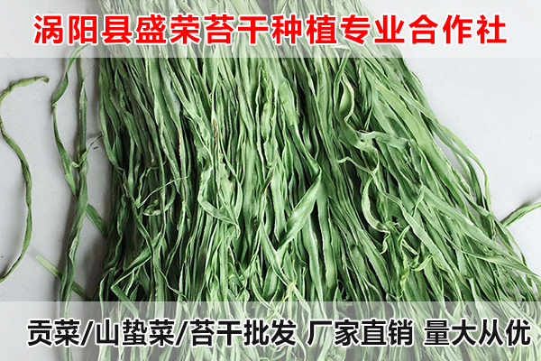 台湾哪里有批发贡菜厂家