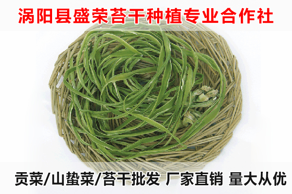 上饶哪里有大量批发贡菜厂