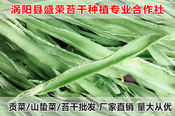 苏州哪里有批发大量贡菜厂