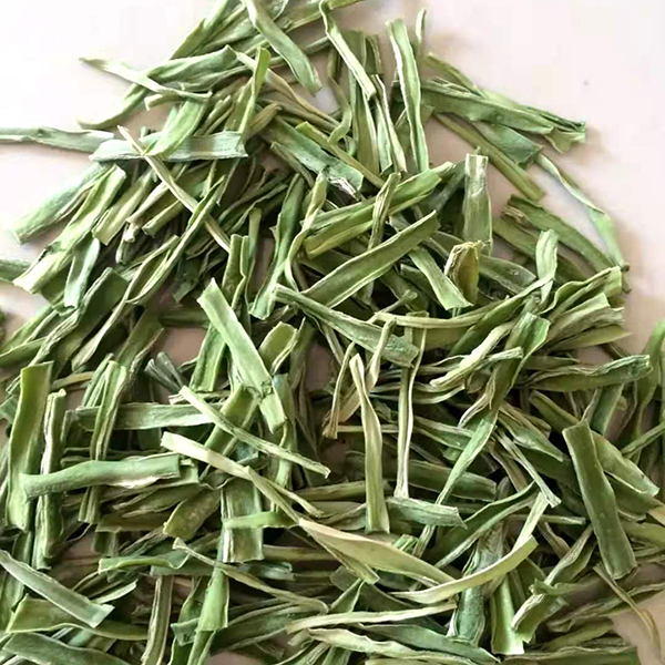 贡菜种植基地-贡菜种植厂家