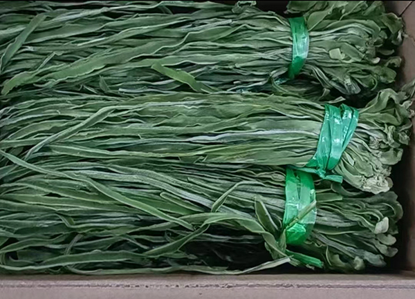 1758503593193350.jpg 微信图片_202404221455301.jpg